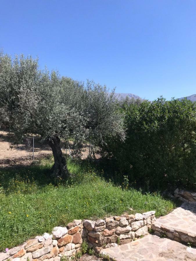 Villa Zahar Periana Eksteriør billede
